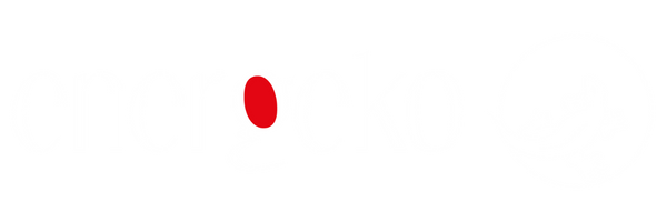 Energeko Veicoli Elettrici